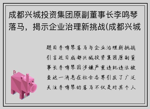 成都兴城投资集团原副董事长李鸣琴落马，揭示企业治理新挑战(成都兴城集团第一任董事长)